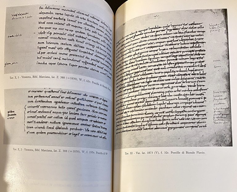 RECUPERI AMMIANEI DA BIONDO FLAVIO