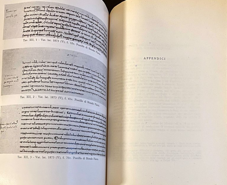 RECUPERI AMMIANEI DA BIONDO FLAVIO