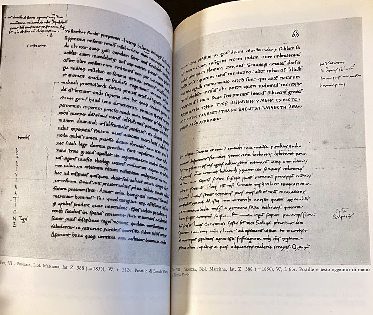 RECUPERI AMMIANEI DA BIONDO FLAVIO