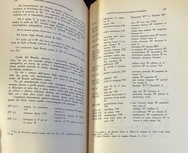 RECUPERI AMMIANEI DA BIONDO FLAVIO