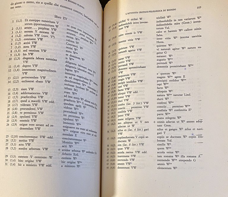 RECUPERI AMMIANEI DA BIONDO FLAVIO