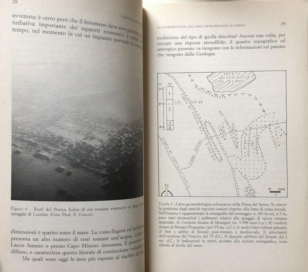 RISCHI NATURALI ED IMPATTO ANTROPICO NELL'AREA METROPOLITANA NAPOLETANA. ATTI DEL …