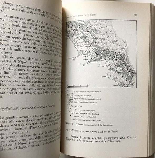 RISCHI NATURALI ED IMPATTO ANTROPICO NELL'AREA METROPOLITANA NAPOLETANA. ATTI DEL …