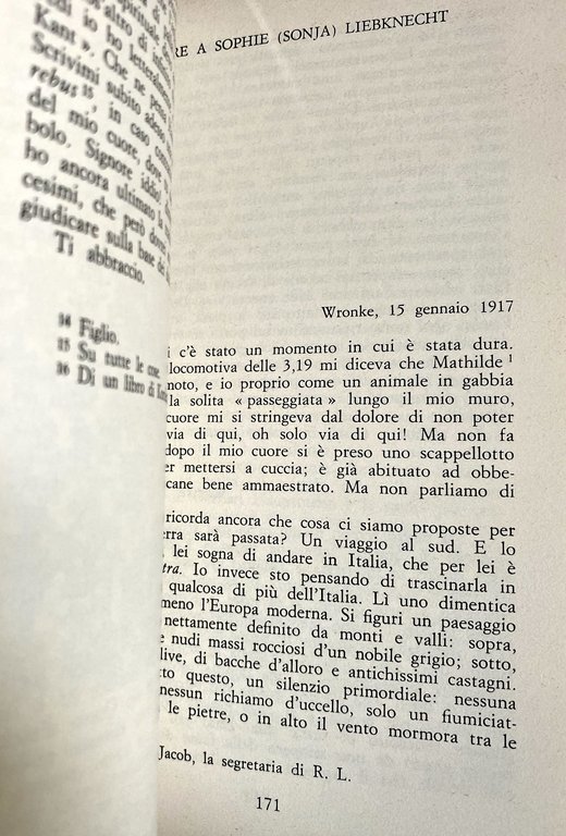 ROSA LUXEMBURG: DRAMMA IN NOVE QUADRI