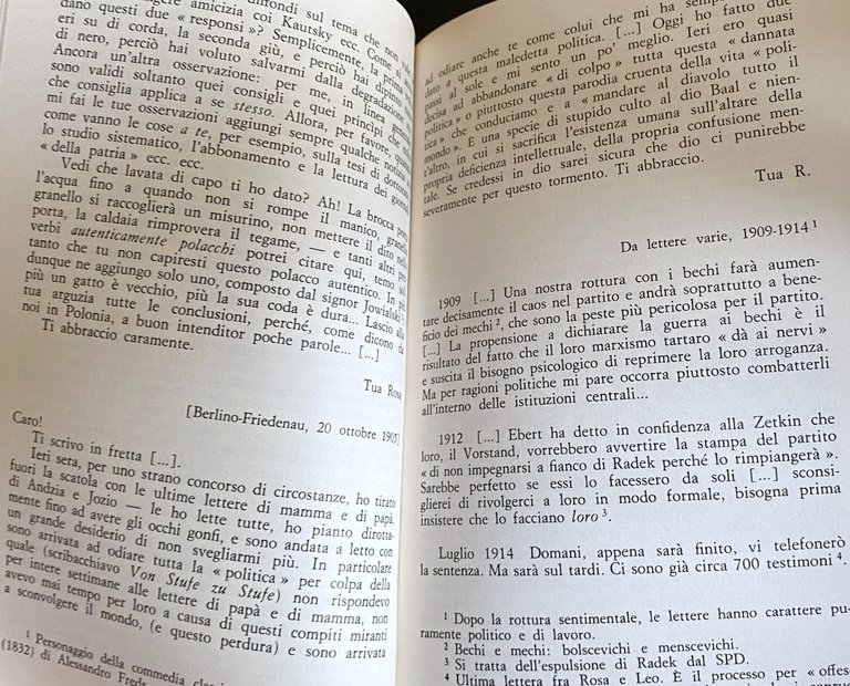 ROSA LUXEMBURG: DRAMMA IN NOVE QUADRI