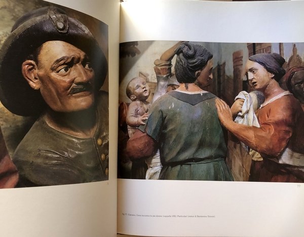 SACRI MONTI DELLE ALPI