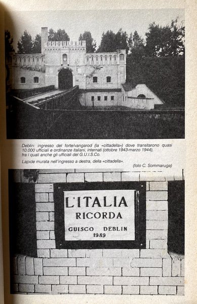 SCHIAVI ALLO SBARAGLIO: GLI INTERNATI MILITARI ITALIANI NEI LAGER TEDESCHI …