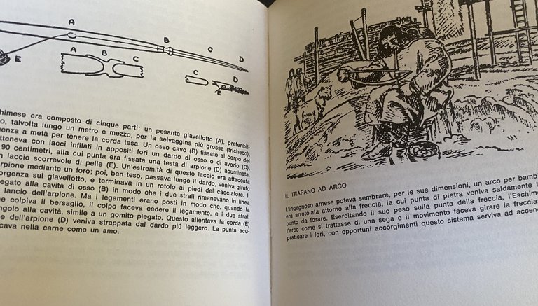 SEMANG, ESCHIMESI POLARI, MAORI, HOPI INTRODUZIONE ALL'ANTROPOLOGIA