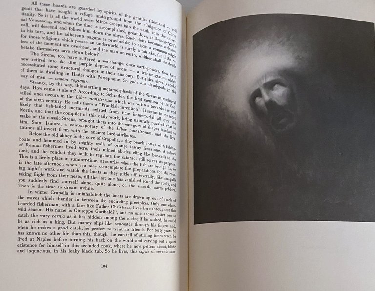 SIREN LAND. (illustrated English edition)