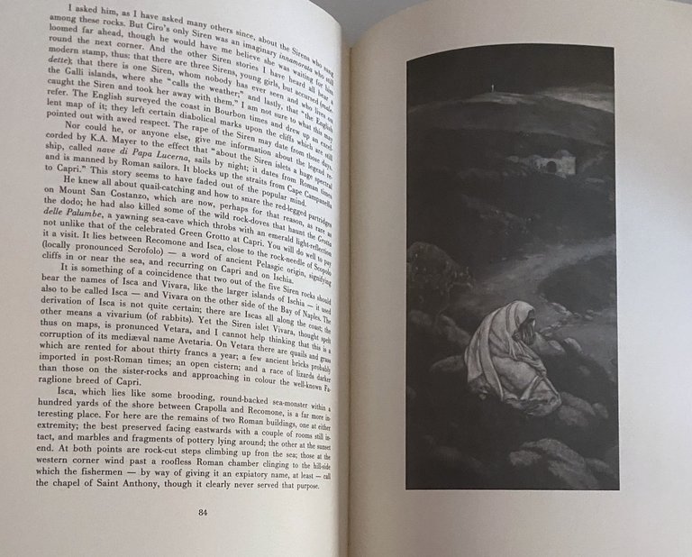 SIREN LAND. (illustrated English edition)