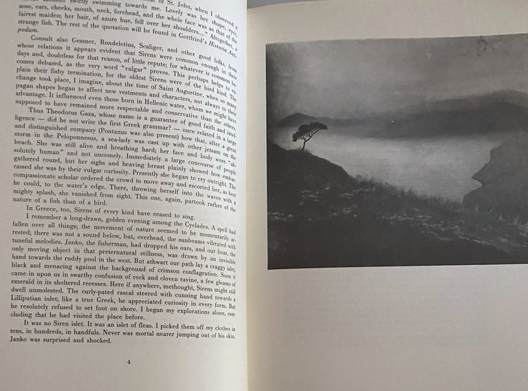 SIREN LAND. (illustrated English edition)