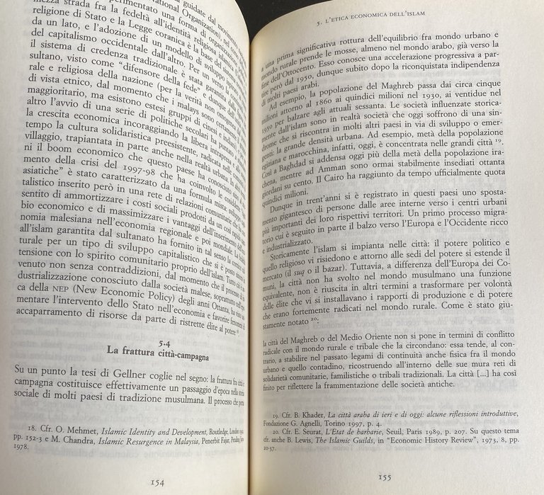 SOCIOLOGIA DELL'ISLAM. FENOMENI RELIGIOSI E LOGICHE SOCIALI