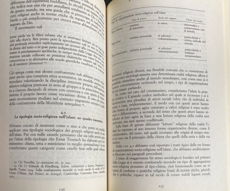 SOCIOLOGIA DELL'ISLAM. FENOMENI RELIGIOSI E LOGICHE SOCIALI