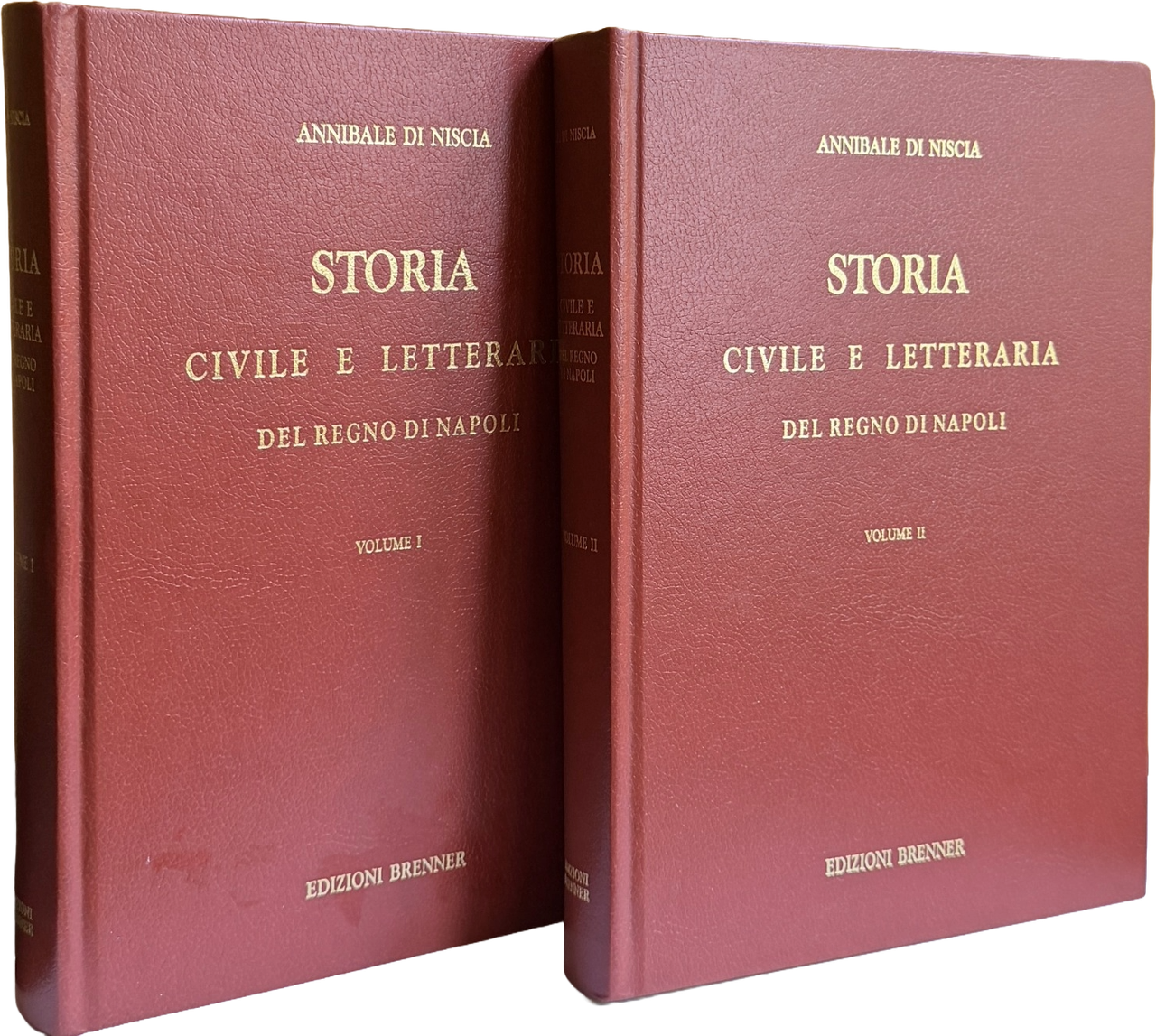 STORIA CIVILE E LETTERARIA DEL REGNO DI NAPOLI, DALLA DECADENZA … | Immagine principale