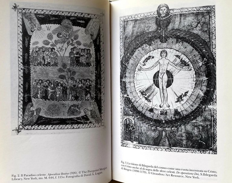 STORIA DEL PARADISO | Immagine Gallery 3