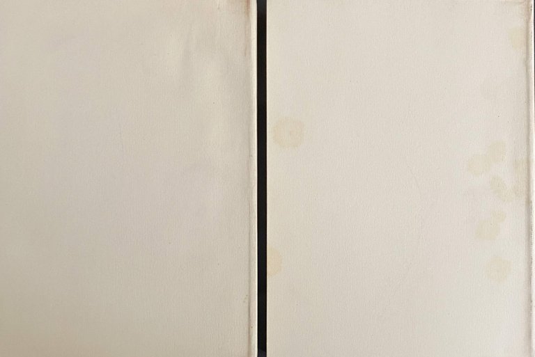 STUDI IN MEMORIA DI ERNESTO GRASSI (VOLUMI 1-2). Convegno internazionale, … | Immagine Gallery 6