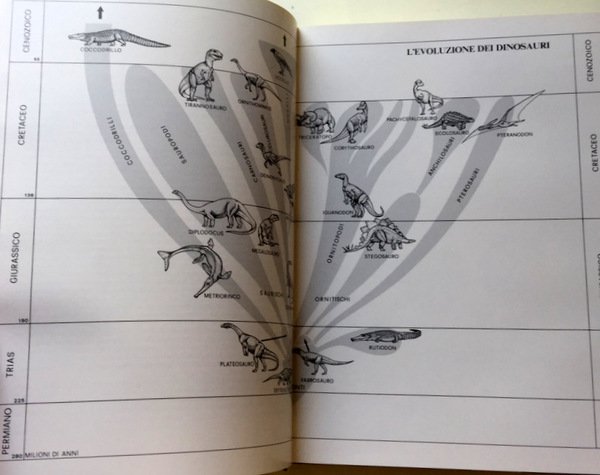SULLE ORME DEI DINOSAURI