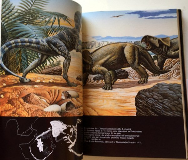 SULLE ORME DEI DINOSAURI