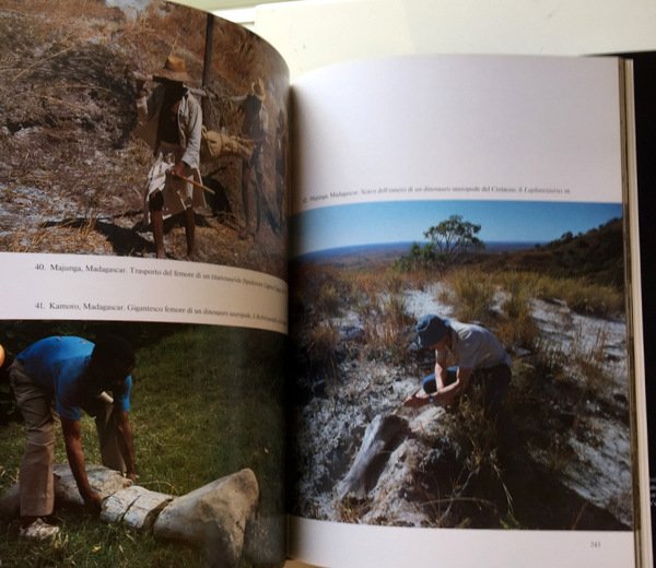 SULLE ORME DEI DINOSAURI