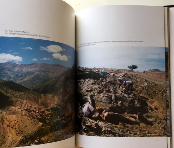 SULLE ORME DEI DINOSAURI