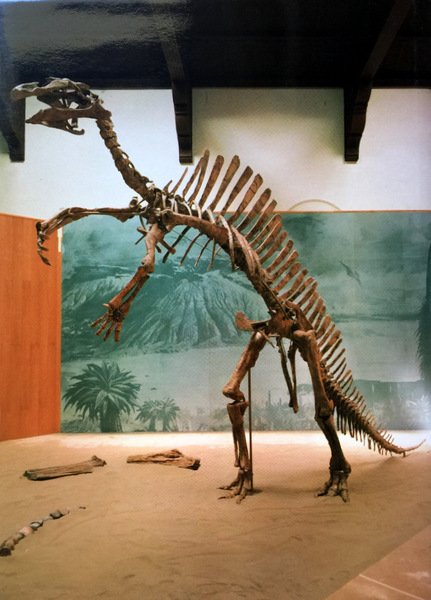 SULLE ORME DEI DINOSAURI