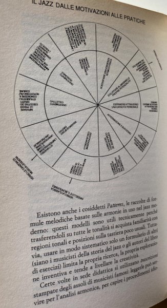 SUONARE UNO STRUMENTO. ITINERARI TRA PASSIONI E TECNICHE. A CURA …