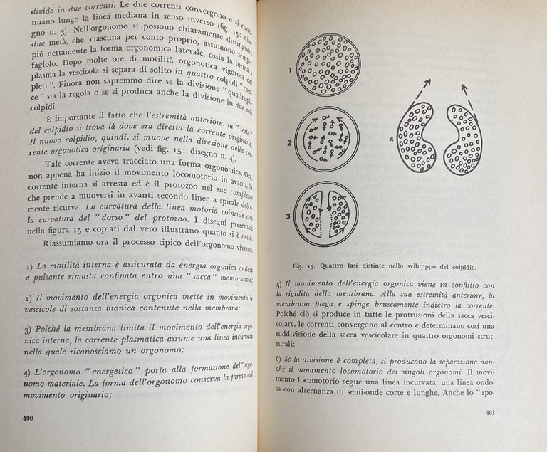 TEORIA DELL'ORGASMO E ALTRI SCRITTI