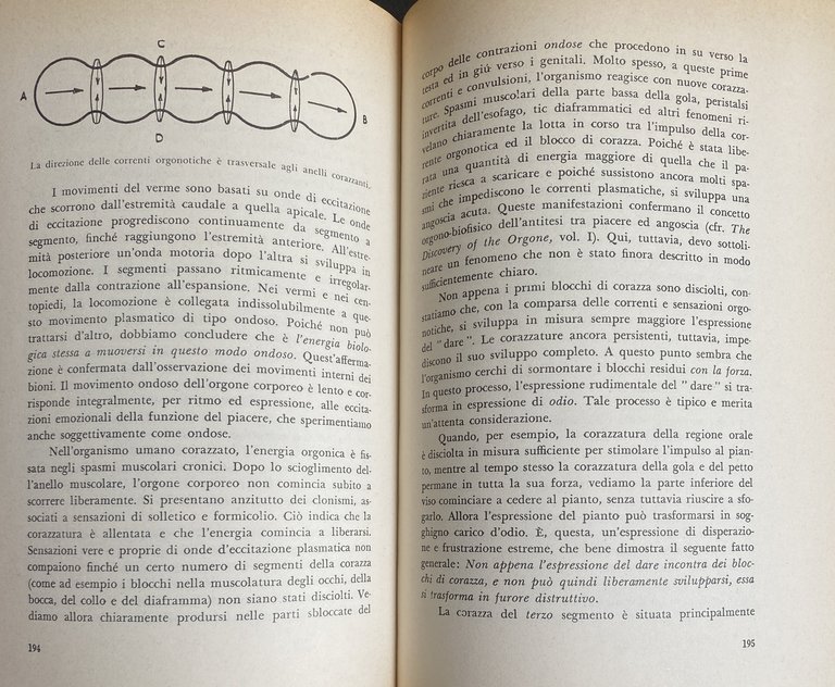 TEORIA DELL'ORGASMO E ALTRI SCRITTI