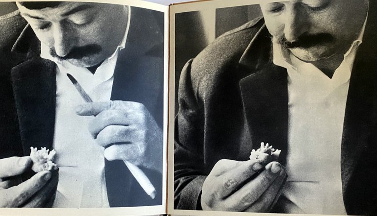 TITRES ET PAINS PERDUS: NOTES SUR LES DISPARITIONS, LES PERTES … | Immagine Gallery 12