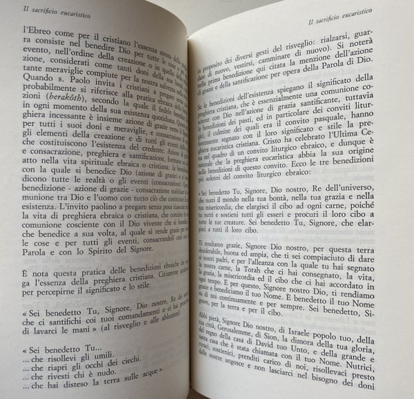 TRADIZIONE E RINNOVAMENTO NELLO SPIRITO. ALLE FONTI DELLA CHIESA