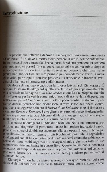 UN SENTIERO NEL BOSCO. GUIDA AL PENSIERO DI KIERKEGAARD