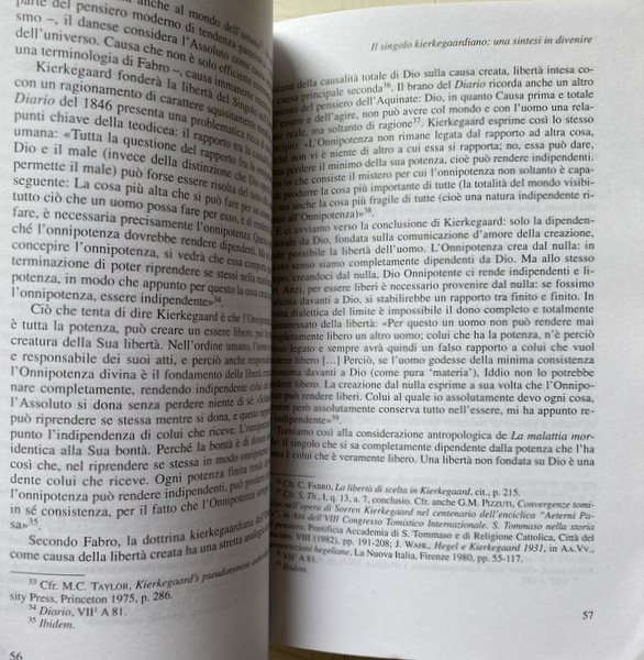 UN SENTIERO NEL BOSCO. GUIDA AL PENSIERO DI KIERKEGAARD