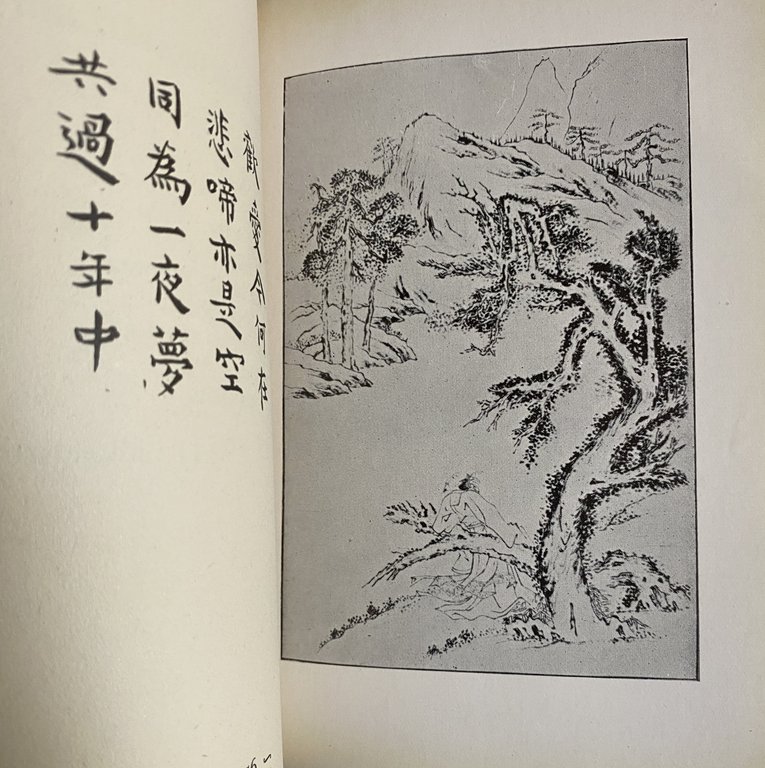 VENTI "QUARTINE BREVI" CINESI DEL PERIODO T'ANG. (TESTO ORIGINALE CINESE … | Immagine Gallery 14