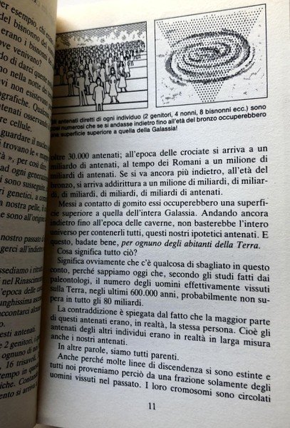 VIAGGI NELLA SCIENZA IL MONDO DI QUARK. CON CONTRIBUTI DI …