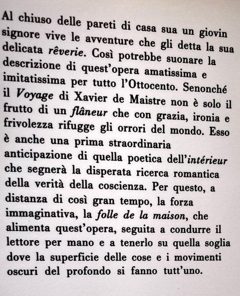 VIAGGIO INTORNO ALLA MIA STANZA