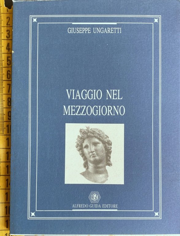 VIAGGIO NEL MEZZOGIORNO. A CURA DI FRANCESCO NAPOLI
