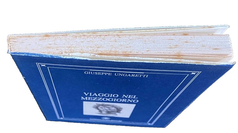 VIAGGIO NEL MEZZOGIORNO. A CURA DI FRANCESCO NAPOLI