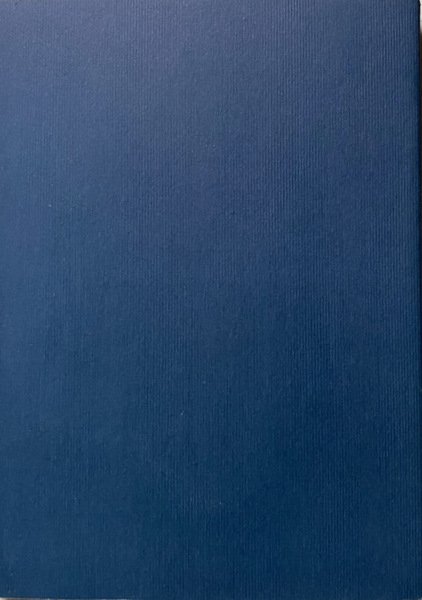 VIAGGIO NEL MEZZOGIORNO. A CURA DI FRANCESCO NAPOLI