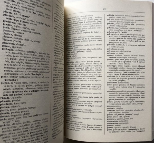 VOCABOLARIO ITALIANO-NAPOLETANO