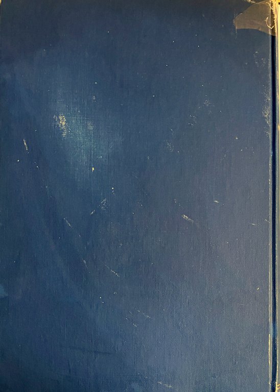 WIENERSTADT LEBENSBILDER AUS DER GEGENWART GESCHILDERT VON WIENER SCHRIFTSTELLERN | Immagine Gallery 22