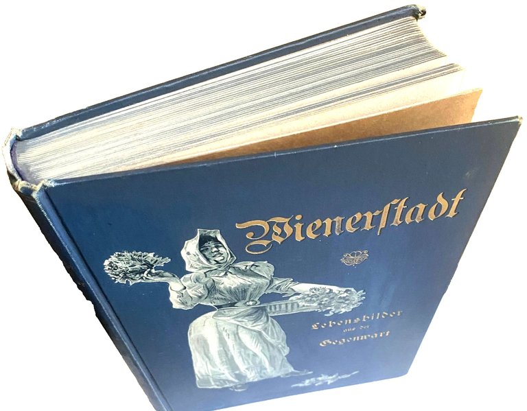 WIENERSTADT LEBENSBILDER AUS DER GEGENWART GESCHILDERT VON WIENER SCHRIFTSTELLERN | Immagine Gallery 4