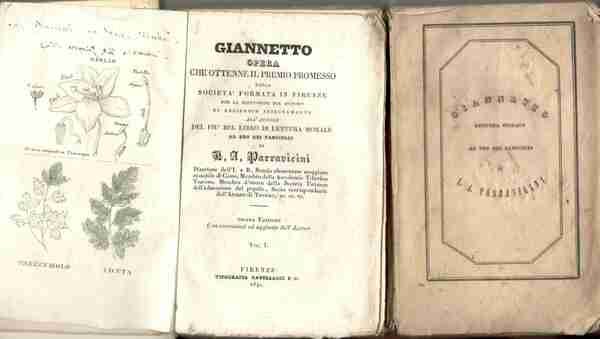 Giannetto. Opera che ottenne il premio promesso dalla società formata in Firenze per la diffusione del metodo di reciproco insegnamento all'autore del più bel libro di lettura morale ad uso dei fanciulli. (Due volumi)
