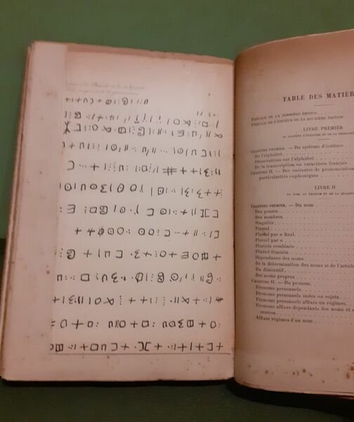 Essai de grammaire de la langue Tamachek renfermant les principes …