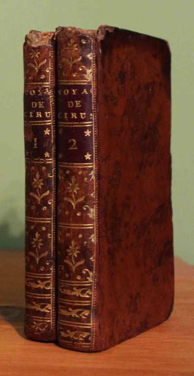 A new Cyropaedia or The travels of Cyrus. With a …