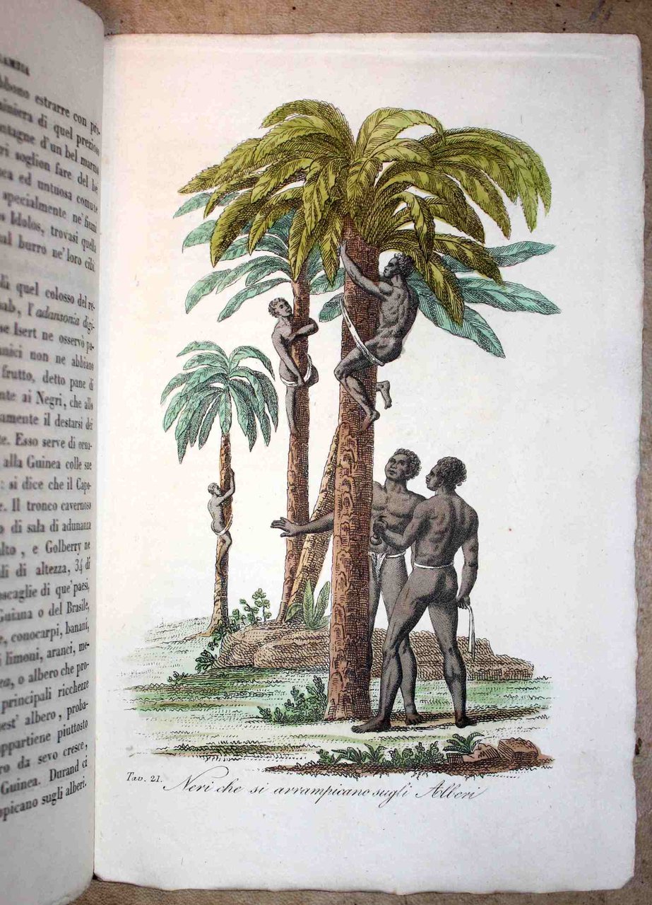 Africa. Il Costume antico e moderno ovvero storia del governo, … | Immagine principale