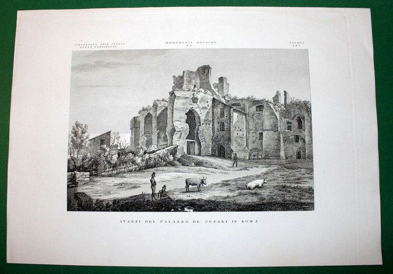 AVANZI DEL PALAZZO DEI CESARI IN ROMA | Immagine Gallery 2