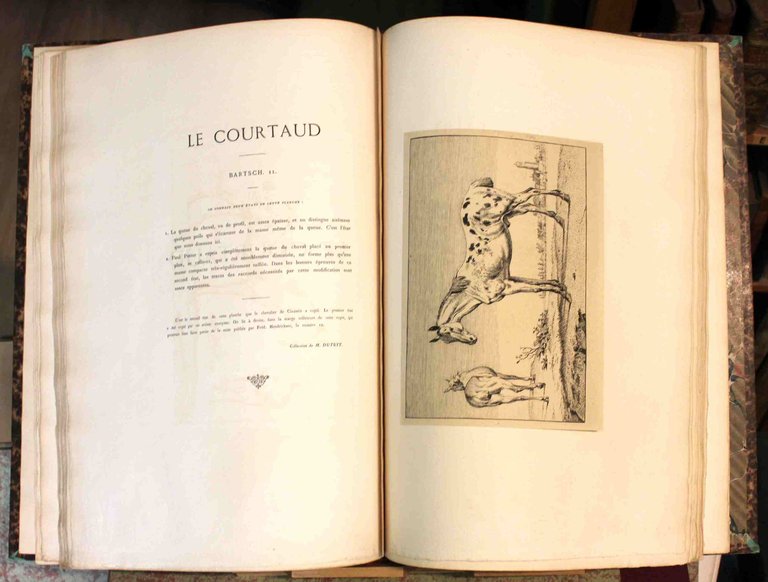 Eaux-Fortes de Paul Potter. Reproduits et publiées par Amand-Durant. Texte … | Immagine Gallery 1