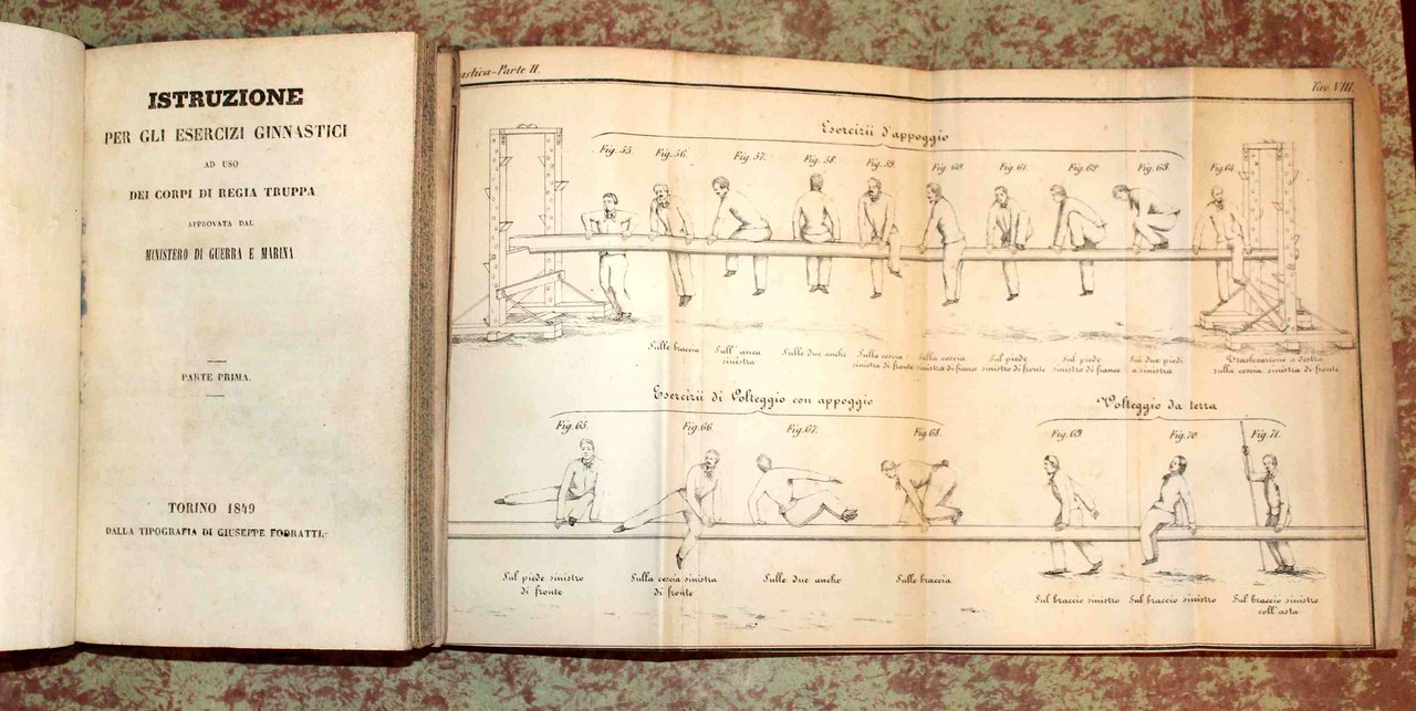 Istruzione per gli esercizi ginnastici ad uso dei corpi di …