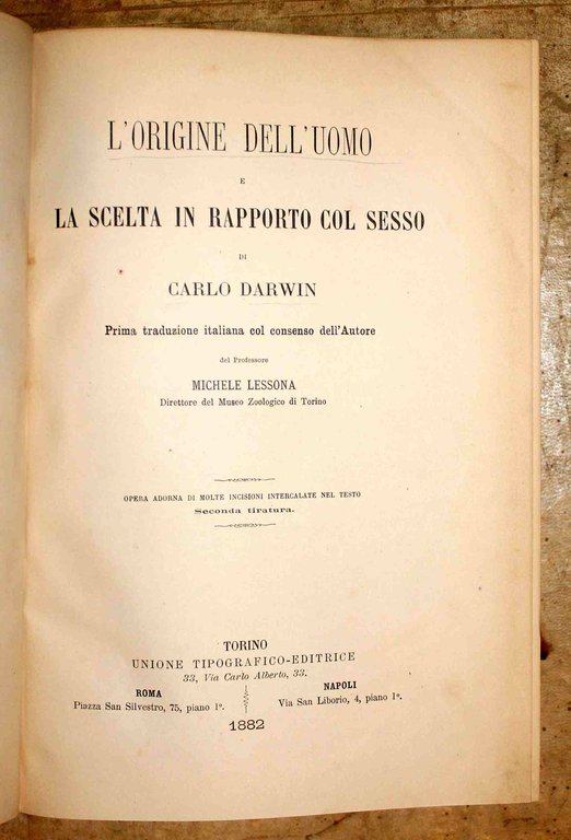 L'origine dell'Uomo e la scelta in rapporto col sesso. Prima … | Immagine Gallery 1