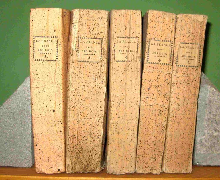 La France sous ses rois; essai historique sur les causes …